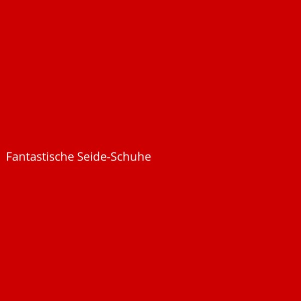 Fantastische Seide-Schuhe