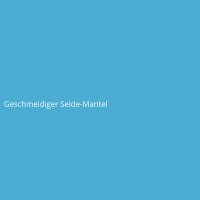 Geschmeidiger Seide-Mantel