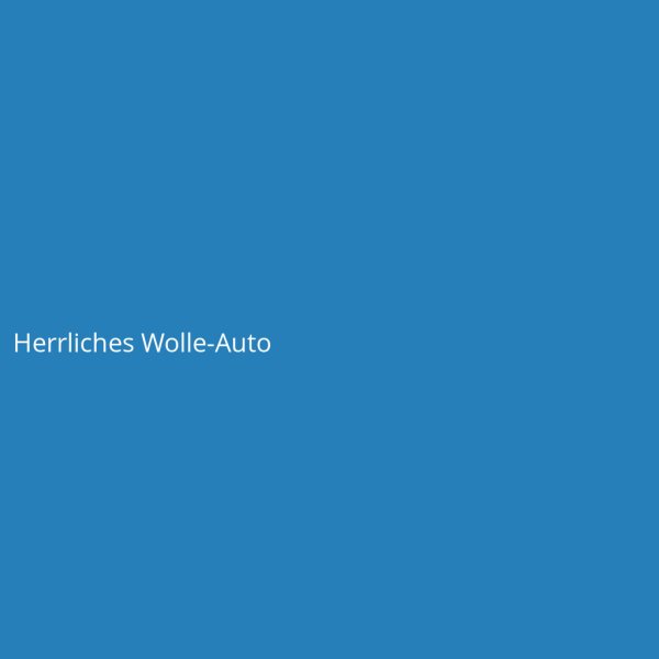 Herrliches Wolle-Auto