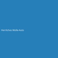 Herrliches Wolle-Auto