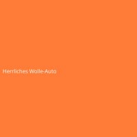 Herrliches Wolle-Auto
