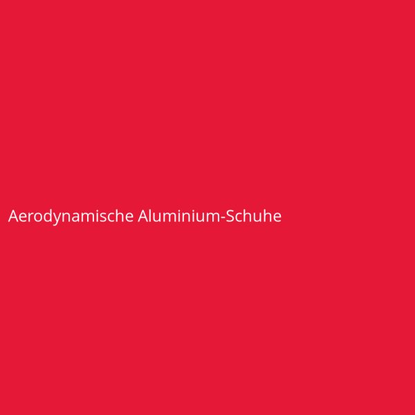 Aerodynamische Aluminium-Schuhe